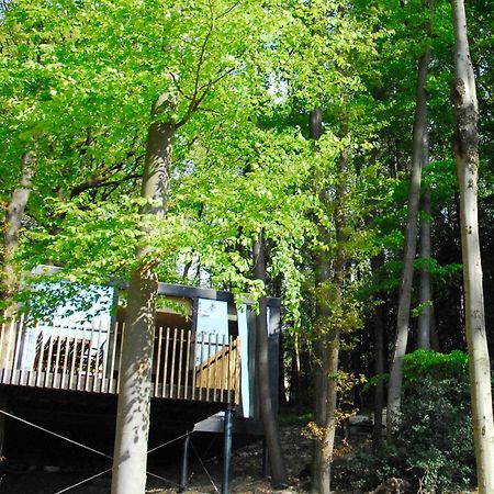 Gite Des Bois De Spa Luaran gambar