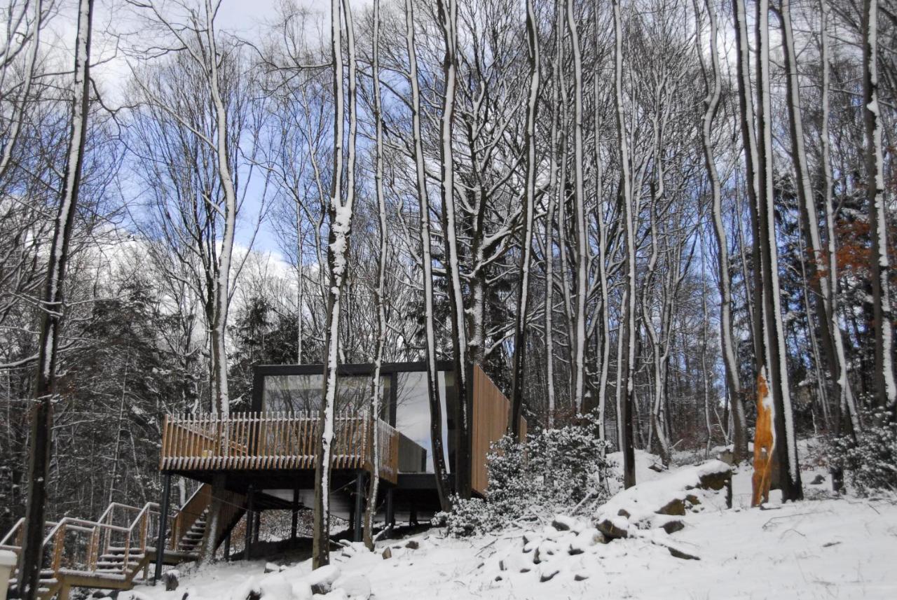Gite Des Bois De Spa Luaran gambar