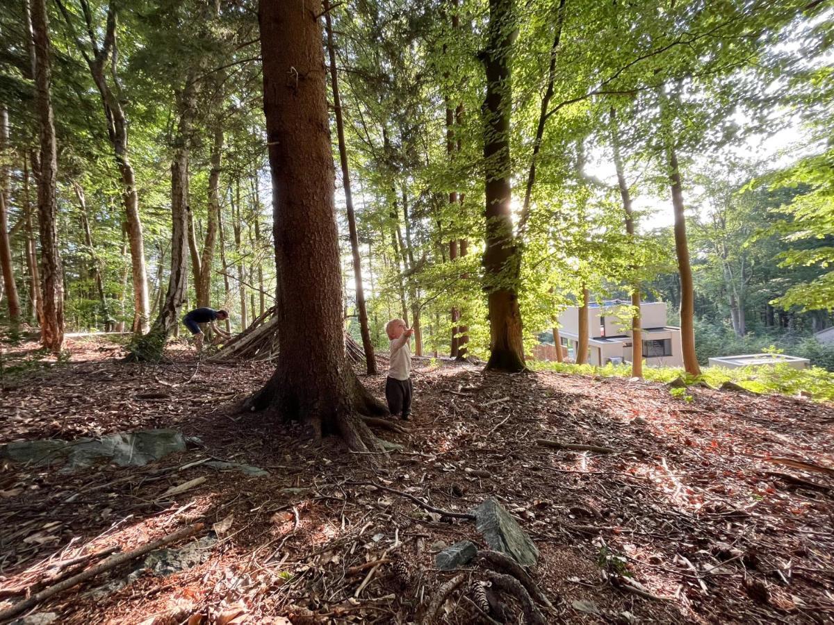 Gite Des Bois De Spa Luaran gambar