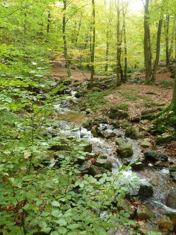 Gite Des Bois De Spa Luaran gambar