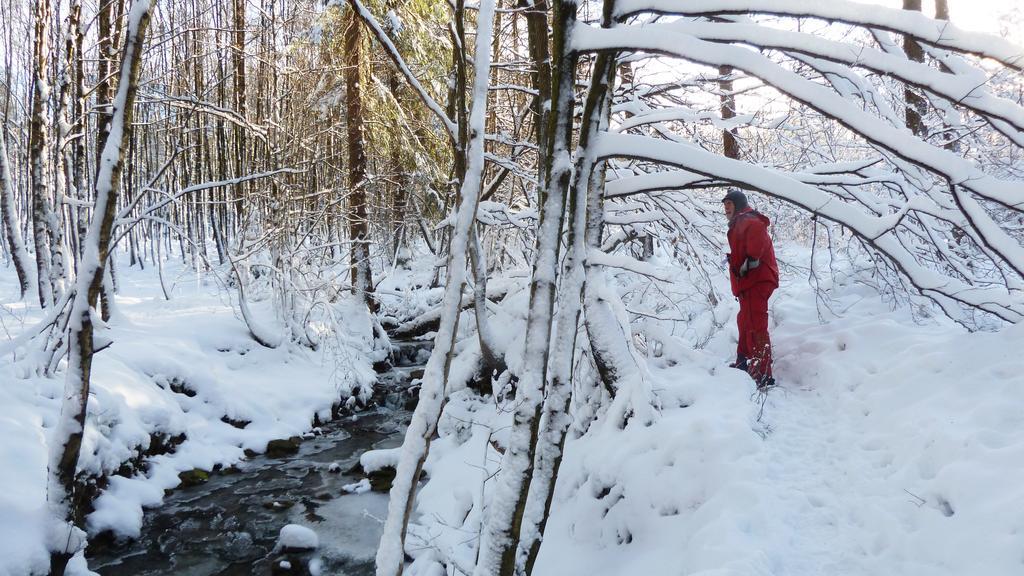 Gite Des Bois De Spa Luaran gambar